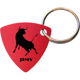 Picks with Keychain Ring