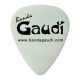 Banda Gaudí