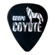 Coyote