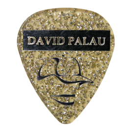 David Palau