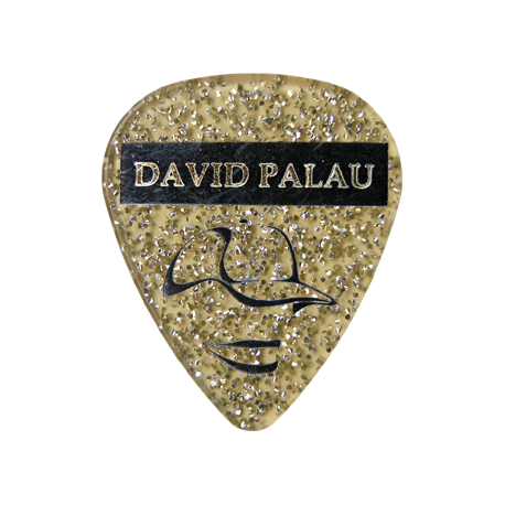 David Palau