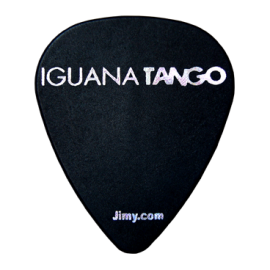Iguana Tango