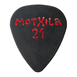 Motxila 21