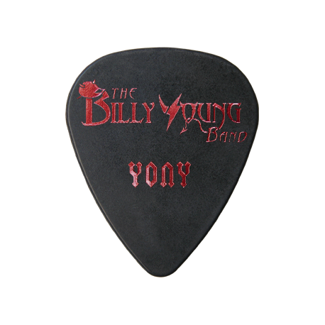 The Billy Young Band