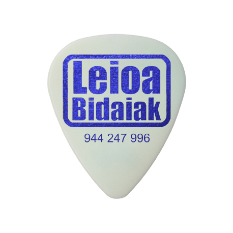 Leioa Bidaiak