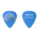 The Golden Grahams (Pack of 2 picks)