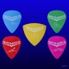 Beethoven R (Pack of 5 picks)