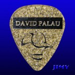 David Palau 01