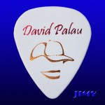 David Palau 03